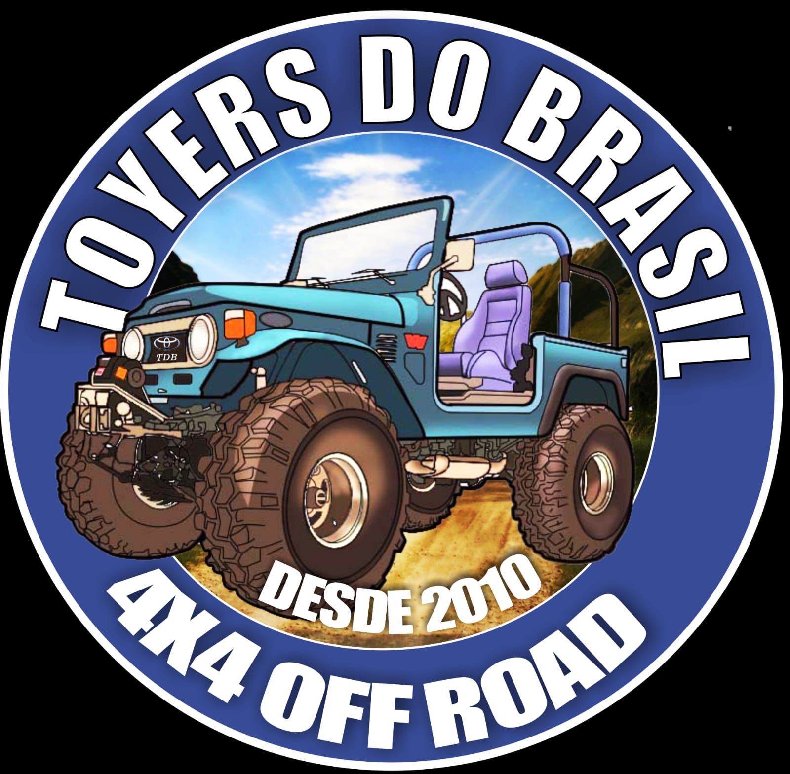 TOYERS DO BRASIL.jpg